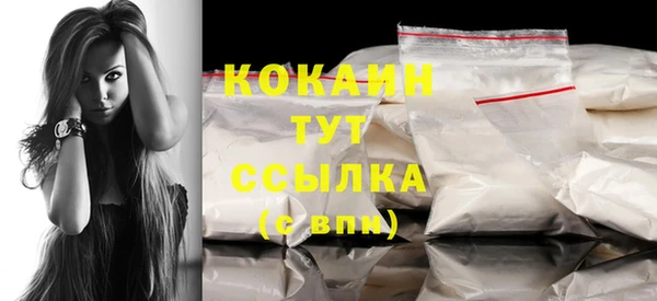 тгк Елизово