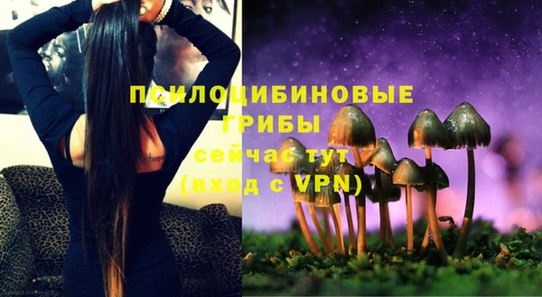 тгк Елизово