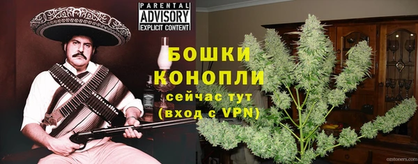тгк Елизово