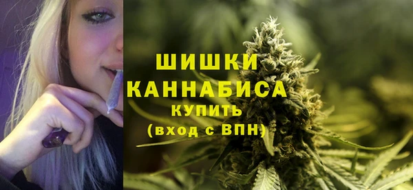 тгк Елизово