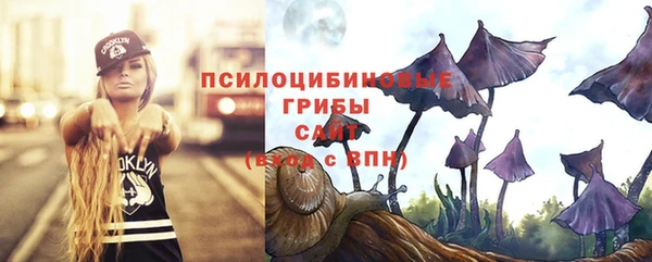 ALPHA-PVP Ельня